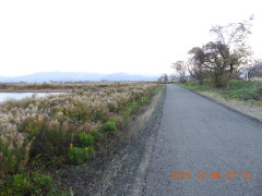 DSCN1118.JPG