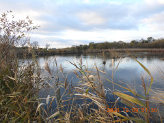 DSCN1123.JPG