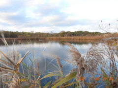 DSCN1124.JPG