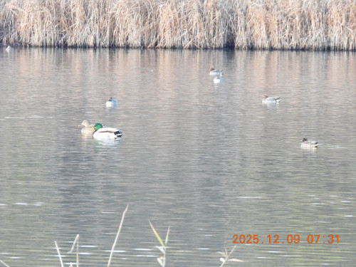DSCN1125.JPG