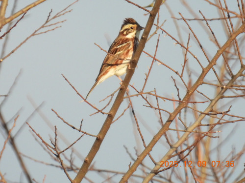 DSCN1129.JPG