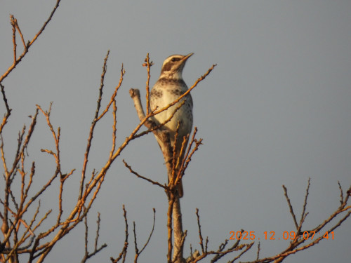 DSCN1131.JPG
