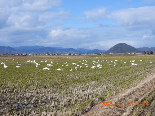DSCN1135.JPG