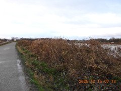 DSCN1138.JPG
