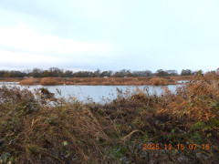 DSCN1139.JPG