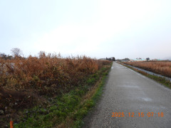 DSCN1140.JPG