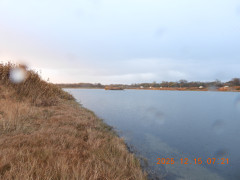 DSCN1141.JPG