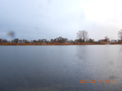 DSCN1142.JPG