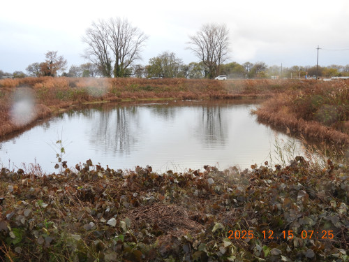 DSCN1144.JPG