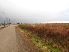 DSCN1146.JPG