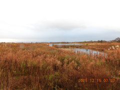 DSCN1147.JPG