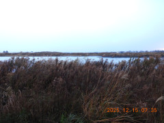 DSCN1151.JPG