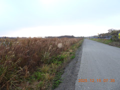 DSCN1152.JPG