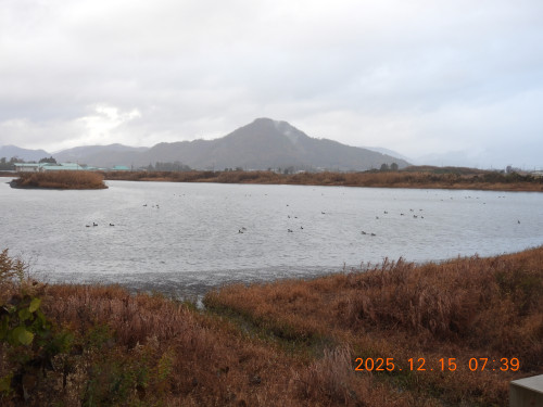 DSCN1153.JPG