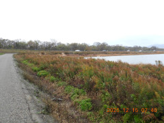 DSCN1154.JPG