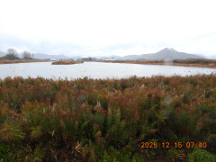 DSCN1155.JPG
