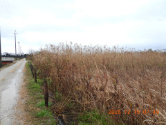 DSCN1158.JPG