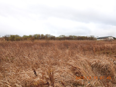 DSCN1159.JPG