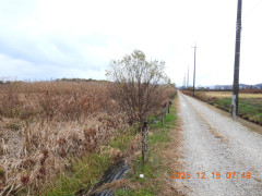 DSCN1160.JPG