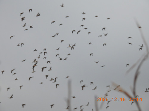 DSCN1161.JPG