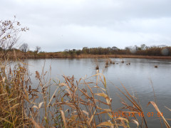 DSCN1162.JPG