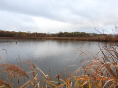 DSCN1163.JPG