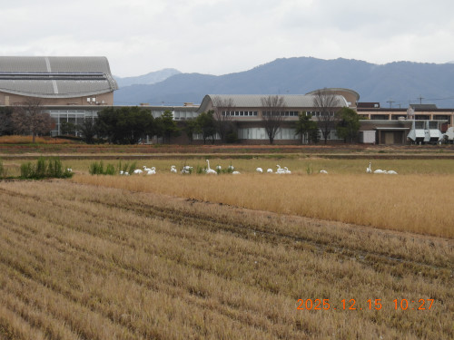 DSCN1173.JPG