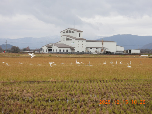 DSCN1174.JPG