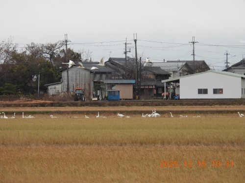 DSCN1178.JPG
