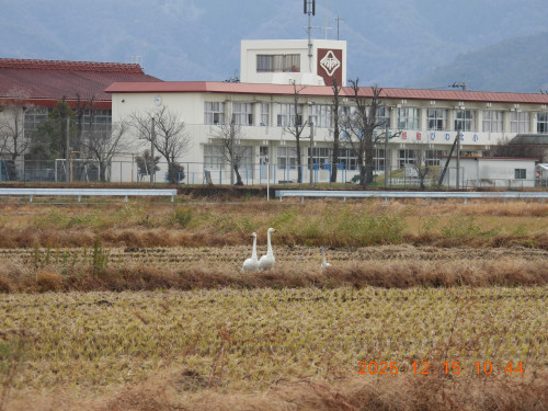 DSCN1183.JPG