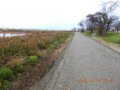 DSCN1156.JPG