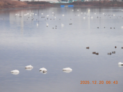 DSCN1198.JPG