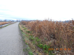 DSCN1202.JPG
