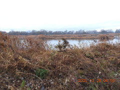 DSCN1203.JPG