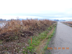 DSCN1204.JPG
