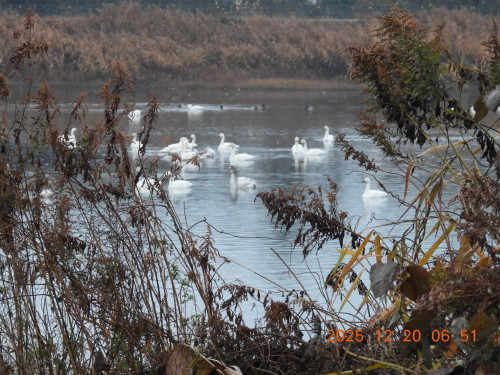 DSCN1205.JPG
