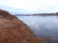 DSCN1206.JPG