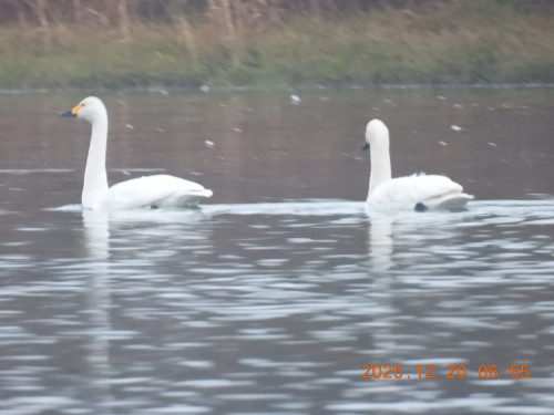 DSCN1210.JPG