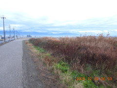 DSCN1211.JPG