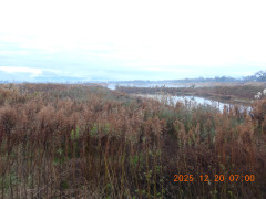 DSCN1212.JPG