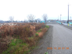 DSCN1213.JPG