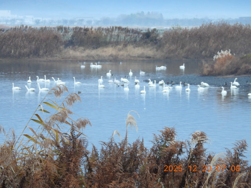 DSCN1219.JPG