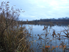 DSCN1221.JPG