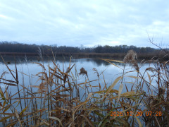 DSCN1222.JPG