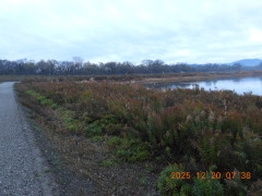 DSCN1224.JPG