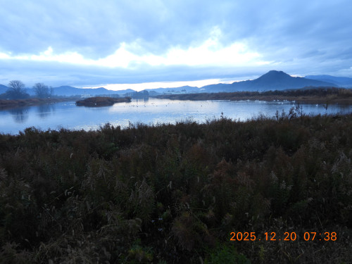 DSCN1225.JPG