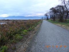 DSCN1226.JPG