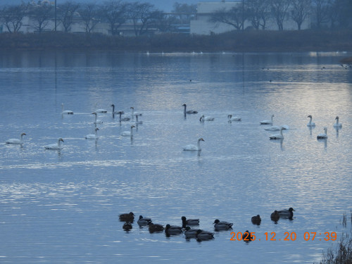 DSCN1228.JPG