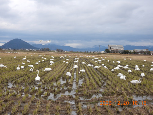 DSCN1229.JPG