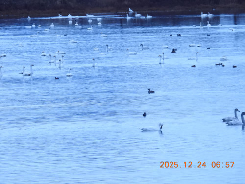 DSCN1234.JPG